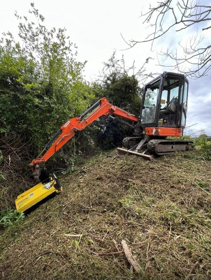 Land Clearance